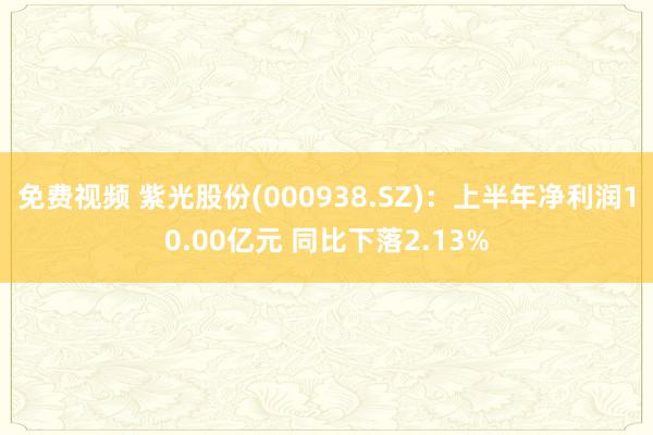 免费视频 紫光股份(000938.SZ)：上半年净利润10.00亿元 同比下落2.13%