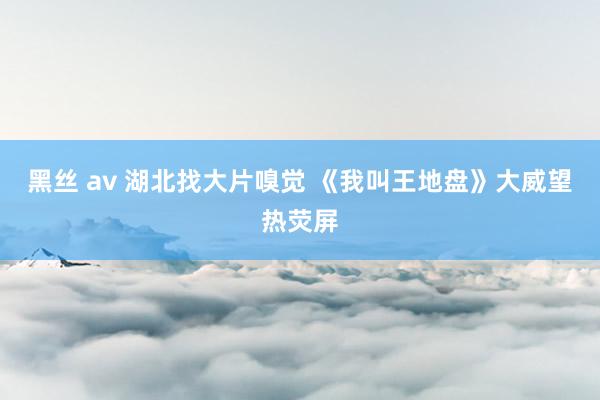 黑丝 av 湖北找大片嗅觉 《我叫王地盘》大威望热荧屏