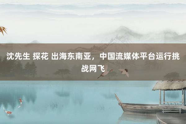 沈先生 探花 出海东南亚，中国流媒体平台运行挑战网飞