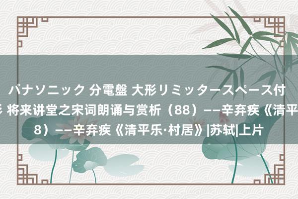 パナソニック 分電盤 大形リミッタースペース付 露出・半埋込両用形 将来讲堂之宋词朗诵与赏析（88）——辛弃疾《清平乐·村居》|苏轼|上片