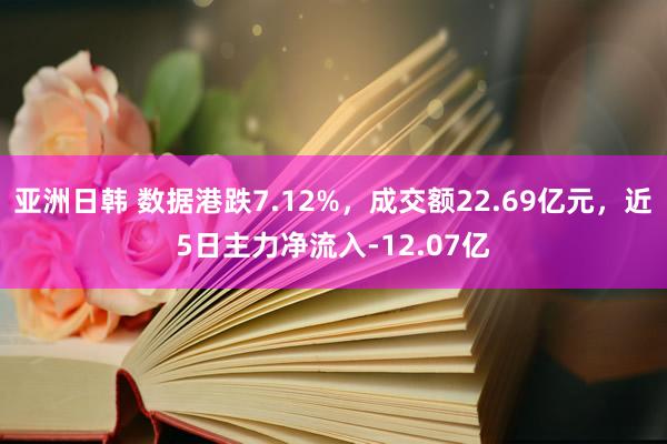 亚洲日韩 数据港跌7.12%，成交额22.69亿元，近5日主力净流入-12.07亿