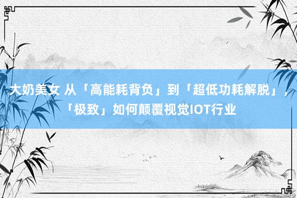 大奶美女 从「高能耗背负」到「超低功耗解脱」，「极致」如何颠覆视觉IOT行业