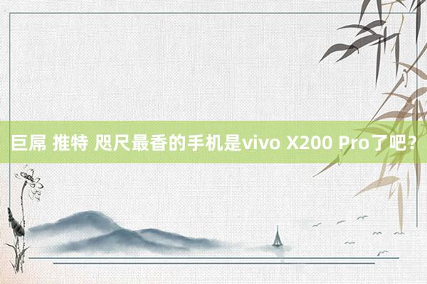 巨屌 推特 咫尺最香的手机是vivo X200 Pro了吧？