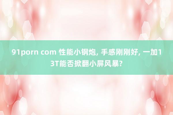 91porn com 性能小钢炮， 手感刚刚好， 一加13T能否掀翻小屏风暴?